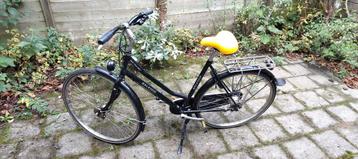 Damesfiets 54 cm, 7 versnellingen
