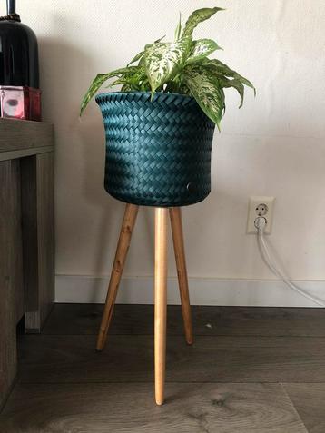 Leuke planten mand te koop merk made by hand als nieuw