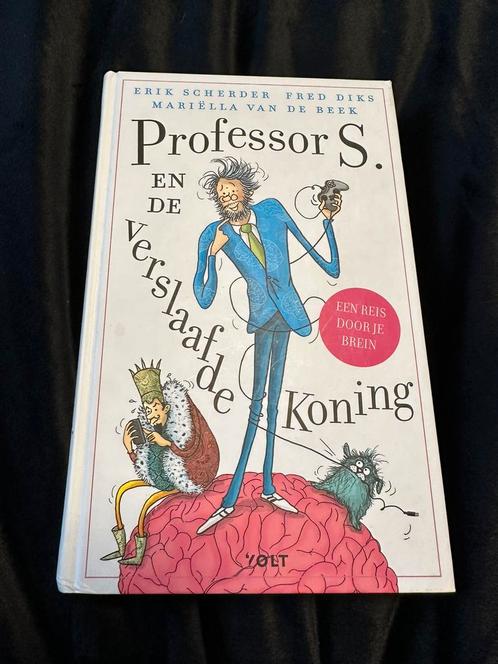 Mariëlla van de Beek - Professor S. en de verslaafde koning, Boeken, Kinderboeken | Jeugd | onder 10 jaar, Zo goed als nieuw, Ophalen