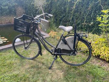 Sparta Country tour meiden/damesfiets framemaat 53, 28 inch
