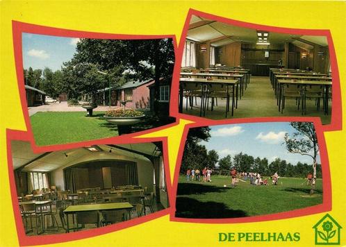 De Peelhaas - Ysselsteyn [Lb] - 4 afb - 1983 gelopen, Verzamelen, Ansichtkaarten | Nederland, Gelopen, Overijssel, 1980 tot heden