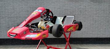 TB Kart S197 met Swissauto VT250 42pk