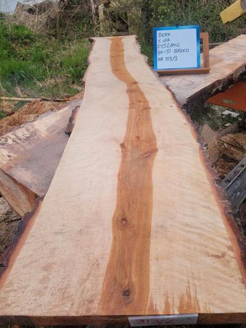 Schaaldeel boomstamtafel boomplank sidetable epoxy BERK