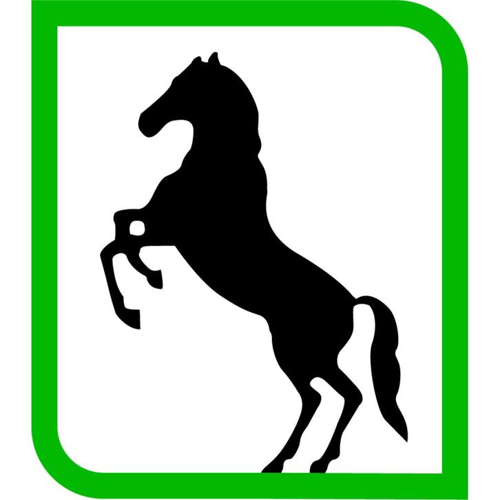 Mustang Safes Kluizen & Brandkasten