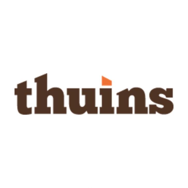 Thuins