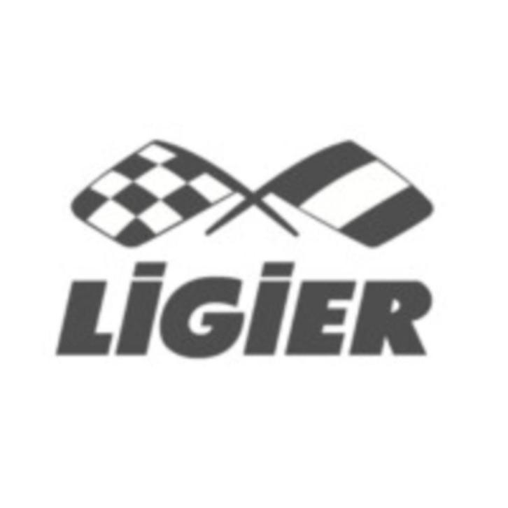 Ligier Store Doesburg - Citycars