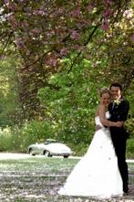 Wedding photography & film by StinStin (Sander en François), Diensten en Vakmensen, Fotografen, Komt aan huis, Fotograaf
