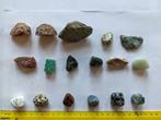 Verzameling stenen, kristallen en haaientanden