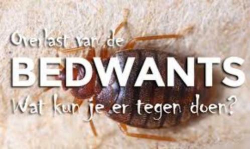 Ongedierte Bestrijders, Diensten en Vakmensen, Ongediertebestrijding