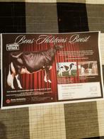 Sperma Bons Holsteins Boost