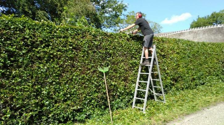 Heggen knippen, snoeien, bomen kappen, vellen en zagen, Diensten en Vakmensen, Tuinmannen en Stratenmakers, Tuinonderhoud of Snoeiwerk