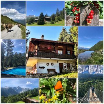 BELLWALD Wallis 6p. Alpen Chalet vrij uitzicht LAST MINUTE beschikbaar voor biedingen