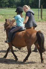 Paardrijles vanaf 6 jaar, kleinschalig, Diensten en Vakmensen, Dieren | Paarden | Verzorging, Oppas en Les, Gedragstraining