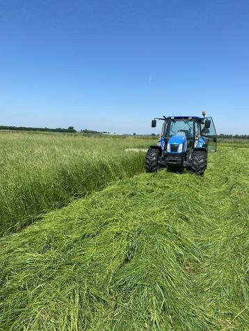 Hooi-> kleine balen hooi en stro  beschikbaar voor biedingen