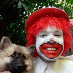 Clown wouter te boeken voor feesten en partijen, Diensten en Vakmensen, Kinderfeestjes en Entertainers, Clowns of Entertainers