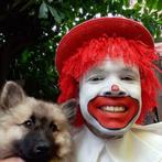 Clown wouter te boeken voor feesten en partijen, Diensten en Vakmensen, Kinderfeestjes en Entertainers