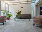 Bourgondische Dallen | Trans Grey Dark | 50cm diverse lengte, 60 cm of meer, Nieuw, Ophalen of Verzenden, 10 m² of meer
