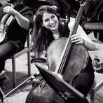 Cellolesen, Komt aan huis, Strijkinstrumenten