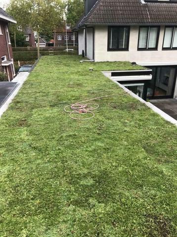 Sedum dak met subsidie beschikbaar voor biedingen