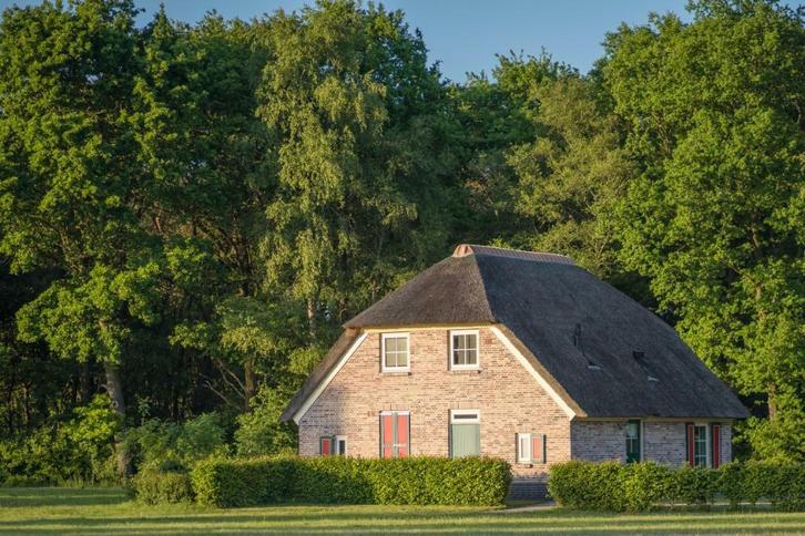 Last minute, Vakantie, Vakantiehuizen | Nederland, Overijssel, Boerderij of Cottage, Landelijk, In bos, 3 slaapkamers, Eigenaar