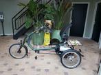 Van raam easy rider 3 driewielfiets, Ophalen of Verzenden, Zo goed als nieuw, Van Raam