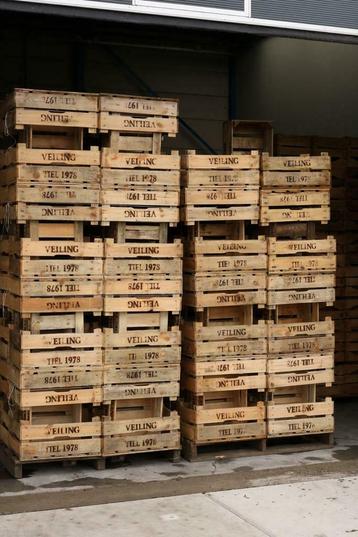 Partij houten "veiling Tiel" kisten fruitkisten, kast, krat! beschikbaar voor biedingen