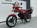 Grote collectie bromfietsen Honda M-serie