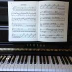 Pianoles in Den Haag - Piano Lessons in The Hague, Diensten en Vakmensen, Muziekles en Zangles, Komt aan huis, Toetsinstrumenten