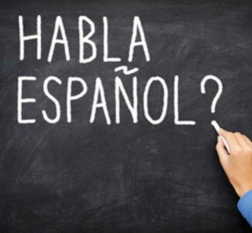 Cursus Spaans voor beginners en gevorderden, Diensten en Vakmensen, Bijles, Privé-les en Taalles, Bijles, Huiswerkbegeleiding