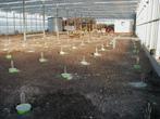 sns-schroefpalen, Garantie, Verbouw of Aanbouw