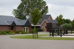 GEVRAAGD SPRINGPAARDEN!, Dieren en Toebehoren, Paarden
