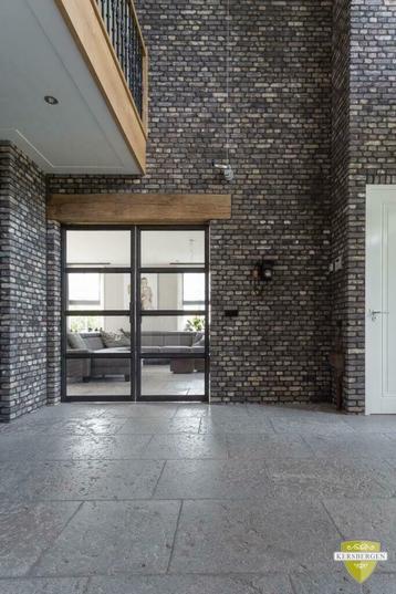 Bourgondische Dallen | Dordogne Gestraald | Wisselende maten beschikbaar voor biedingen