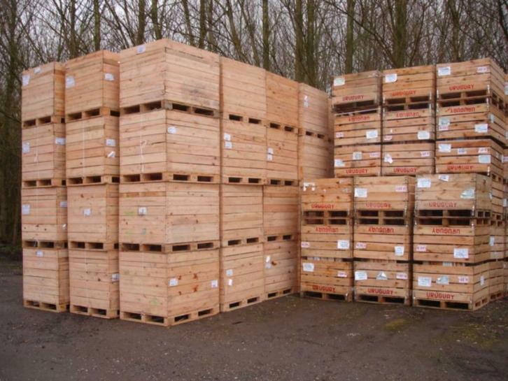 kuubskisten palletbox fruitkisten aardappelkist voorraadbak, Zakelijke goederen, Agrarisch | Aardappelen, Groenten, Fruit en Vlees