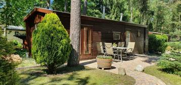 vakantie Op De Veluwe beschikbaar voor biedingen