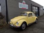 VW Kevers gevraagd, Volkswagen, Bedrijf, Handgeschakeld, Te koop