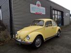 VW Kevers gevraagd, Auto's, Oldtimers, Te koop, Bedrijf, Benzine, Volkswagen