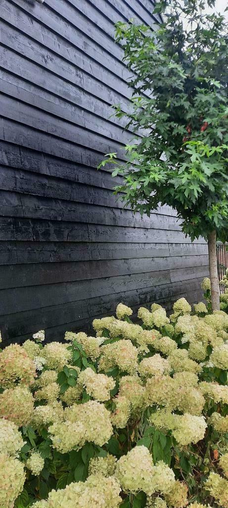potdeksel / vlotdelen vuren of grenen, Doe-het-zelf en Verbouw, Hout en Planken, Nieuw, Plank, Grenen, 300 cm of meer, 25 tot 50 mm