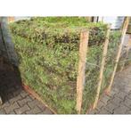 Groen dak pakket kant-en-klaar (18m2), Bodembedekkers, Volle zon, Vaste plant, Ophalen of Verzenden
