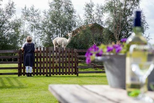 Luxe vakantie Friesland voor de hele familie, Vakantie, Vakantiehuizen | Nederland, Friesland, Overige typen, Landelijk, 4 of meer slaapkamers