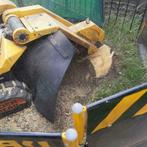 Boomstronk verwijderen, Garantie, Tuinonderhoud of Snoeiwerk