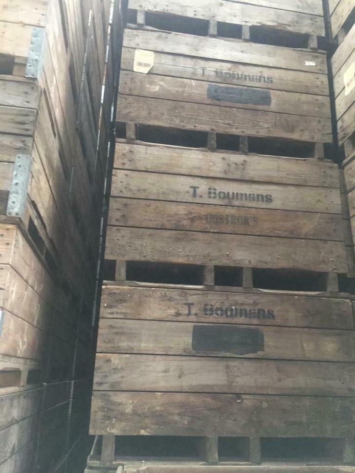 TEKOOP EN TE HUUR  VOORRAADBAKKEN  KISTEN, Zakelijke goederen, Agrarisch | Aardappelen, Groenten, Fruit en Vlees, Ophalen