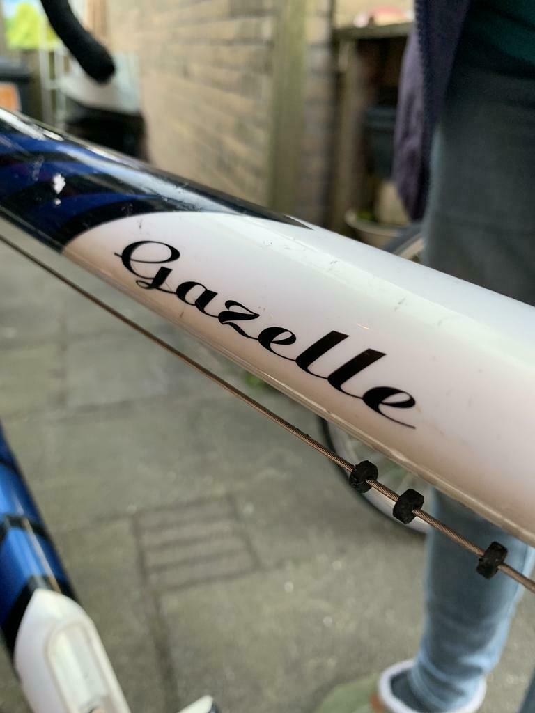 ≥ Gazelle velocity suprème design racefiets — Fietsen | Racefietsen —  Marktplaats