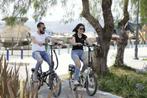 TOP elektrische fiets damesfiets herenfiets fietsen ebike