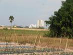 landbouw grond zuidelijk Thailand 1 rai 1600 M2 Cha am/Hua h, Zakelijke goederen, Agrarisch | Agrarisch Onroerend goed, Ophalen of Verzenden