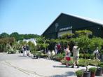 Wortelbegrenzer of Rhizoombegrenzer voor bamboe planten., Ophalen of Verzenden, Bloeit niet, Vaste plant, Halfschaduw