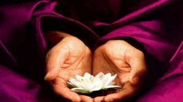 Healing-Hands VOF beschikbaar voor biedingen