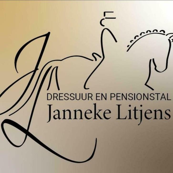 Instructrice voor kinderen en volw met en zonder eigen paard, Diensten en Vakmensen, Dieren | Paarden | Verzorging, Oppas en Les