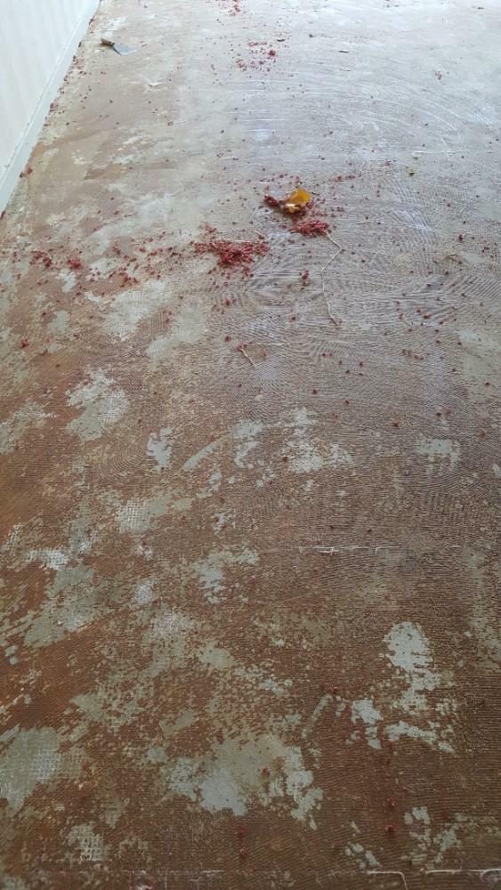 Woonontruiming / Verhuizing Kringloopwinkel In&Uit, Diensten en Vakmensen, Verhuizers en Opslag, Bedrijfsverhuizingen, Verhuizen binnen Nederland