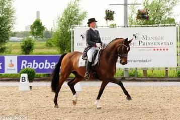 Equinova's Wendel; lessen op een Grand-Prix paard!  beschikbaar voor biedingen