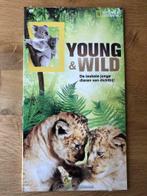 2 DVD Young & Wild - National Geographic jonge dieren NIEUW